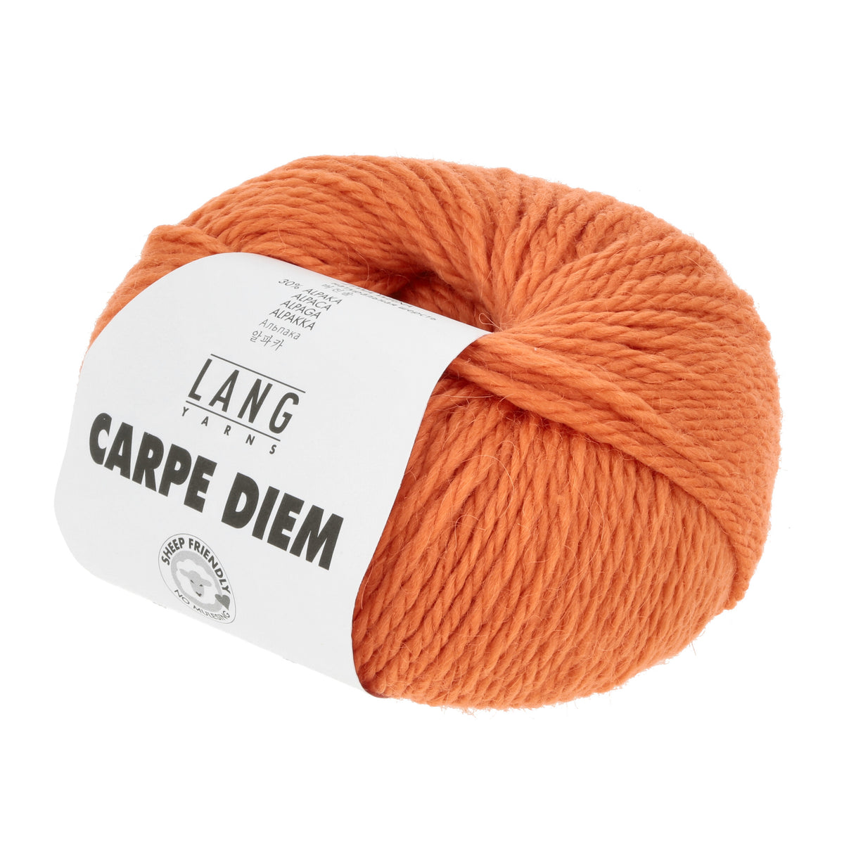 Carpe Diem LANG YARNS