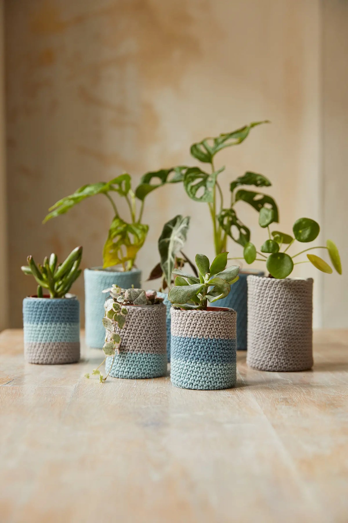 Kit crochet J'habille mes plantes DMC