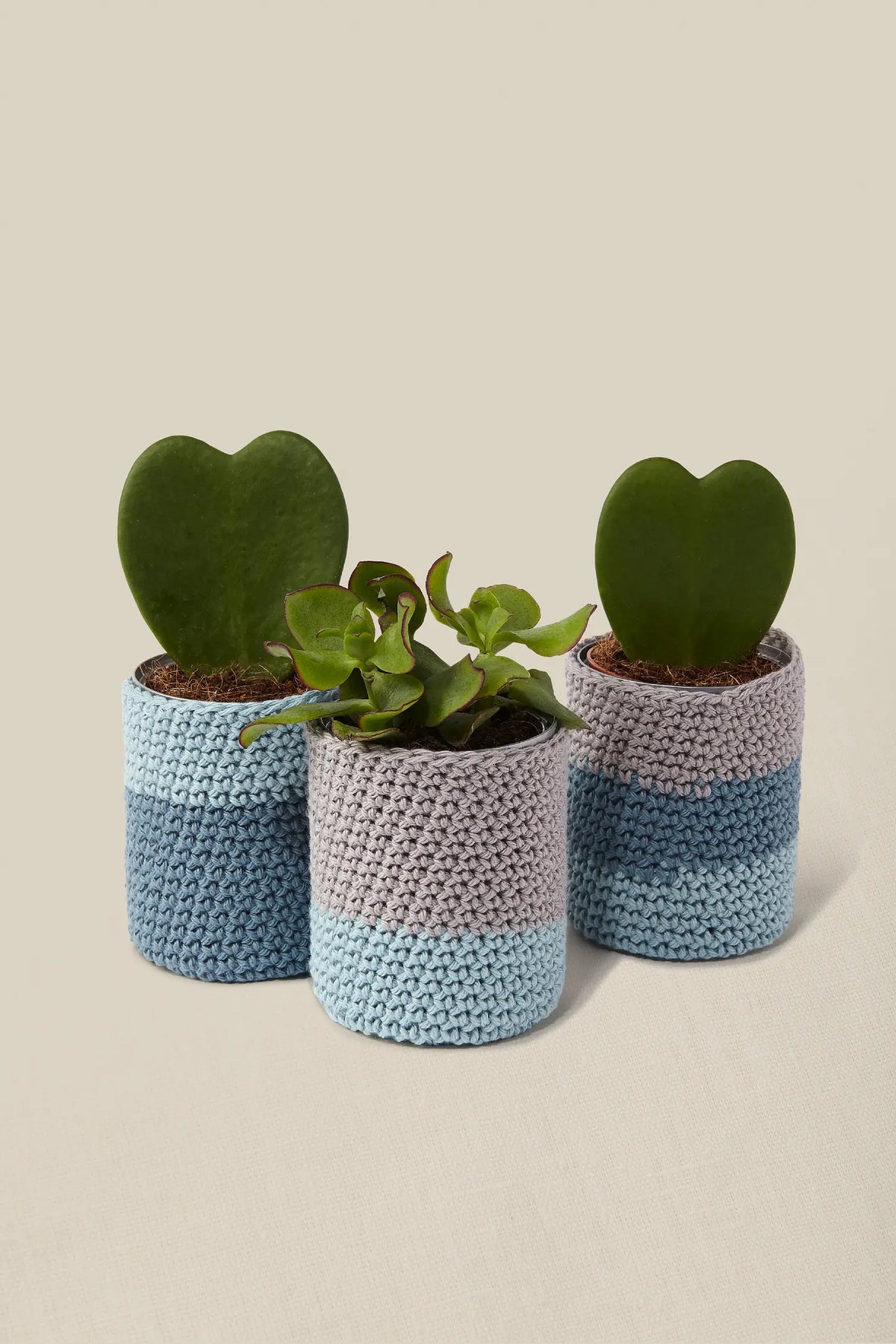 Kit crochet J'habille mes plantes DMC