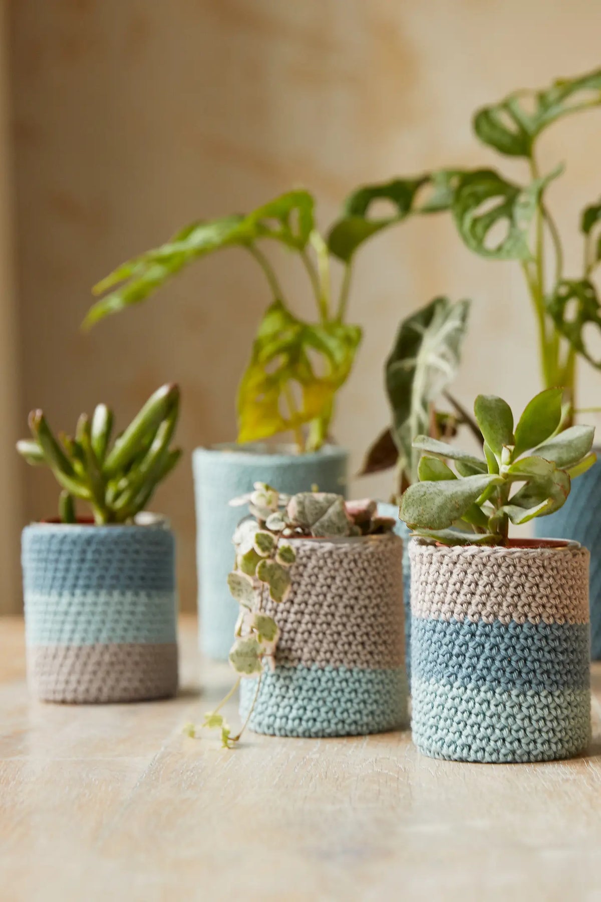 Kit crochet J'habille mes plantes DMC