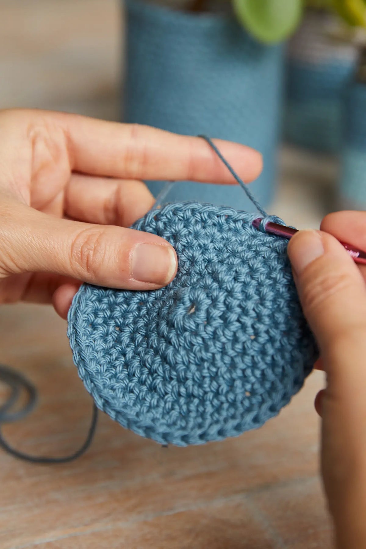 Kit crochet J'habille mes plantes DMC