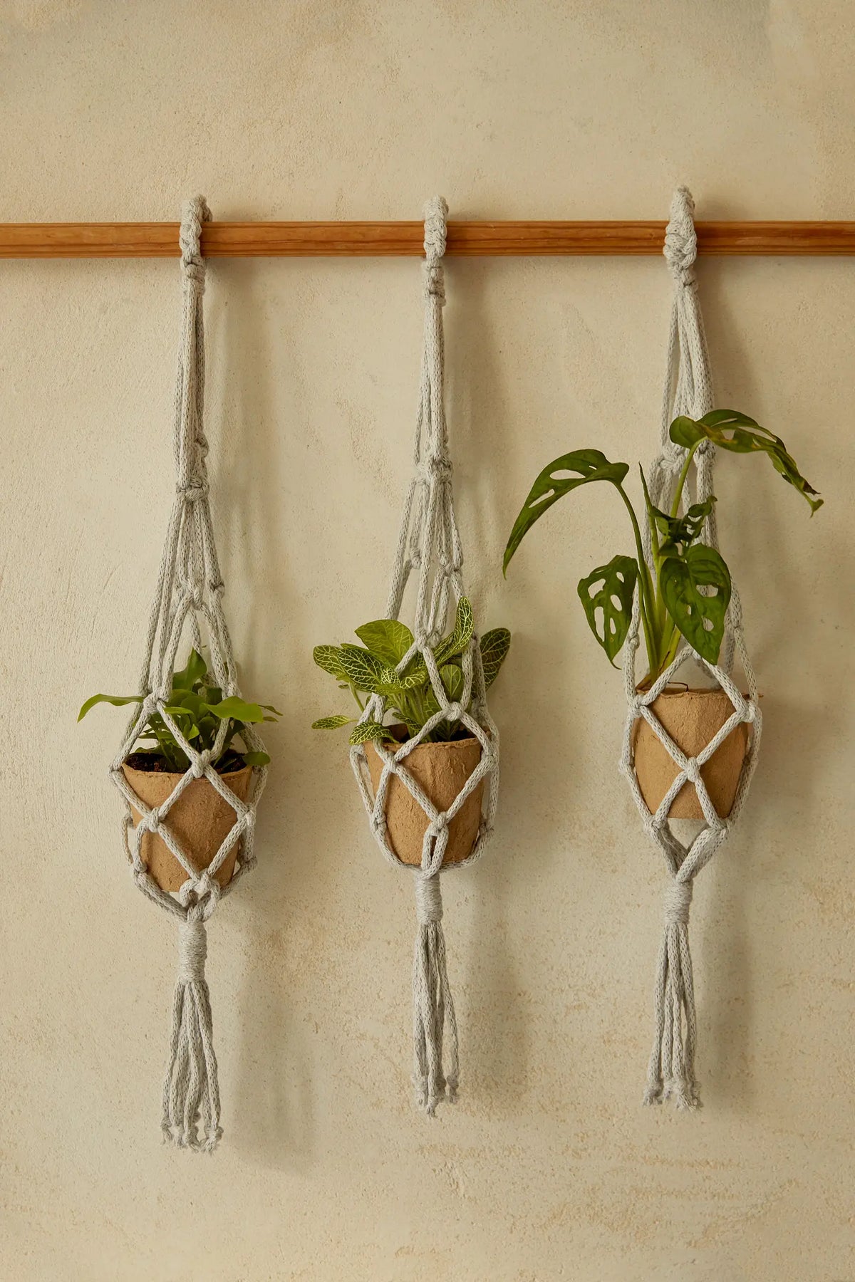 Kit Macramé - Suspensions en équilibre DMC