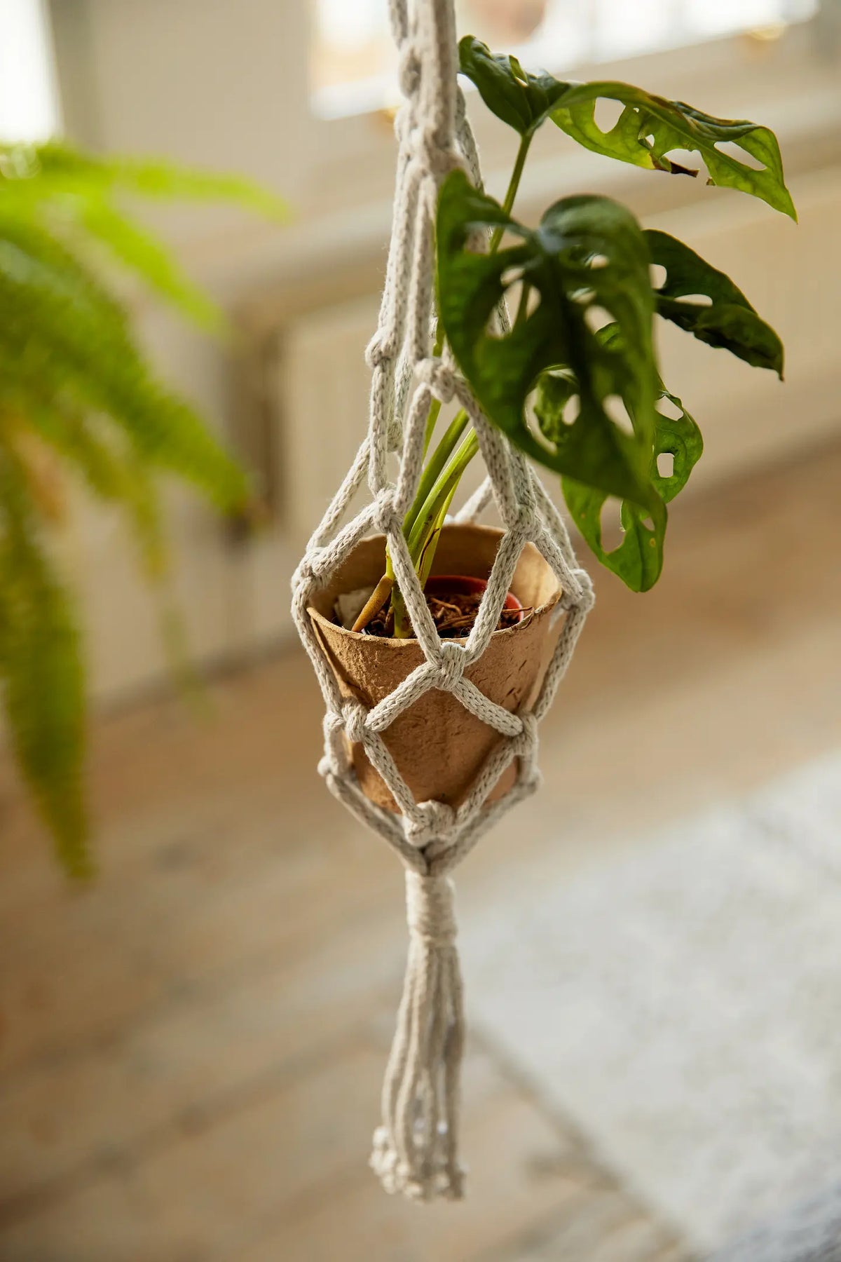Kit Macramé - Suspensions en équilibre DMC