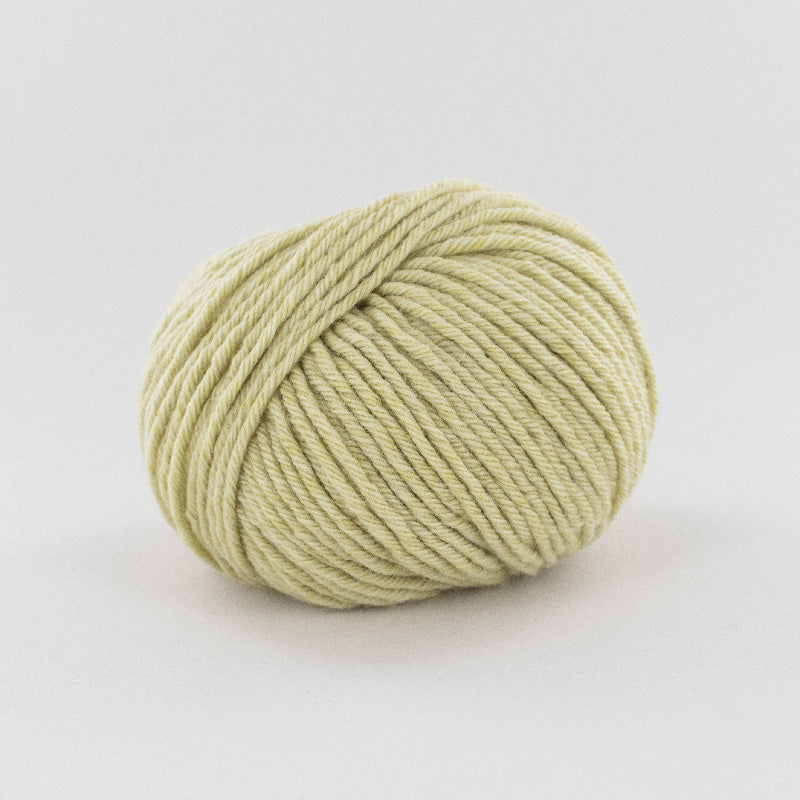 Tartan 6 FONTY