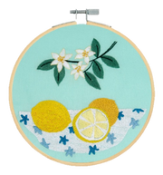 Kit Broderie traditionnelle Les Citrons DMC