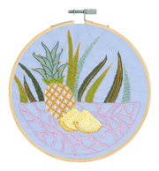 Kit Broderie traditionnelle L'Ananas DMC