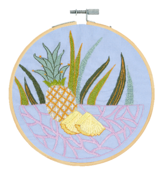 Kit Broderie traditionnelle L'Ananas DMC