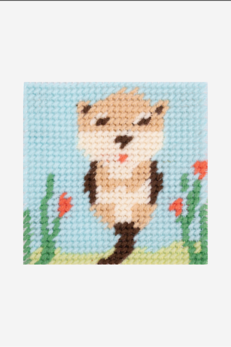 Kit tapisserie Ollie la loutre DMC