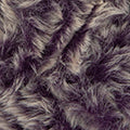 Polar KATIA