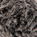 Polar KATIA