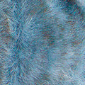 Polar KATIA