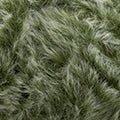 Polar KATIA