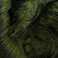Polar KATIA