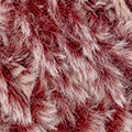 Polar KATIA