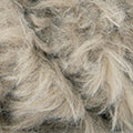 Yupik KATIA