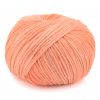 Sorbet PLASSARD